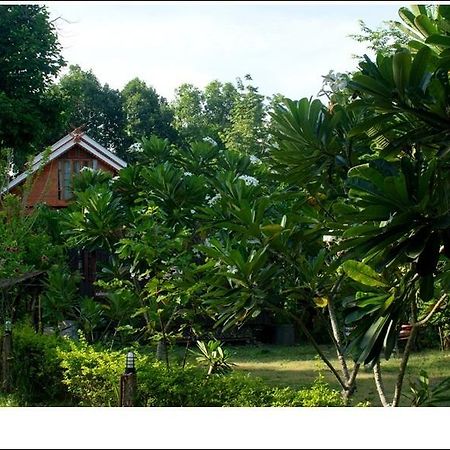 Phuphiangkhiangfah Resort Nan Pokoj fotografie