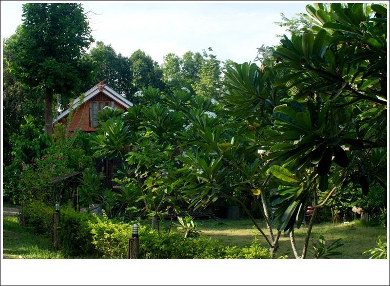 Phuphiangkhiangfah Resort Nan Pokoj fotografie